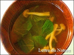 さつまいもの茎は美味しい栄養食材 食べ方や下処理 保存方法は Lettre Du Nature