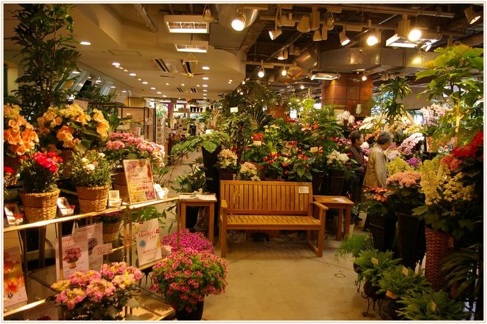 プロトリーフガーデンアイランド玉川店