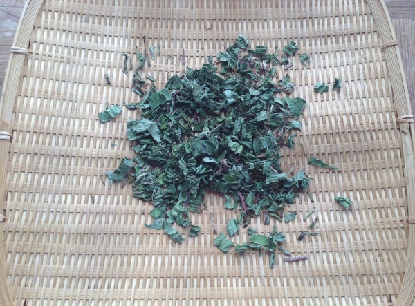 タンポポ茶