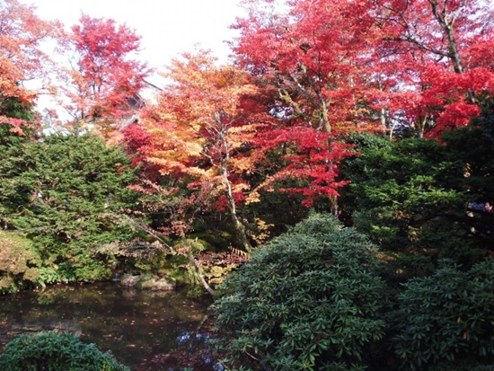 紅葉 日光