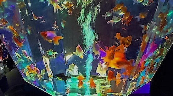 4765_12