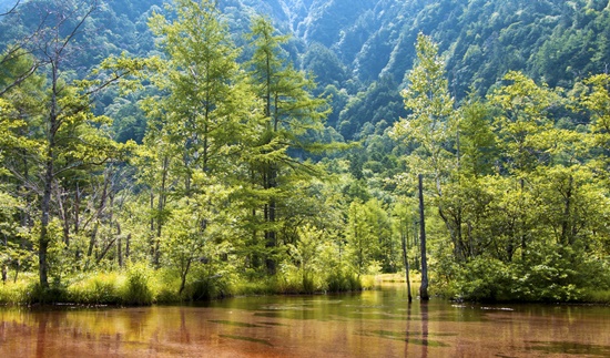 上高地