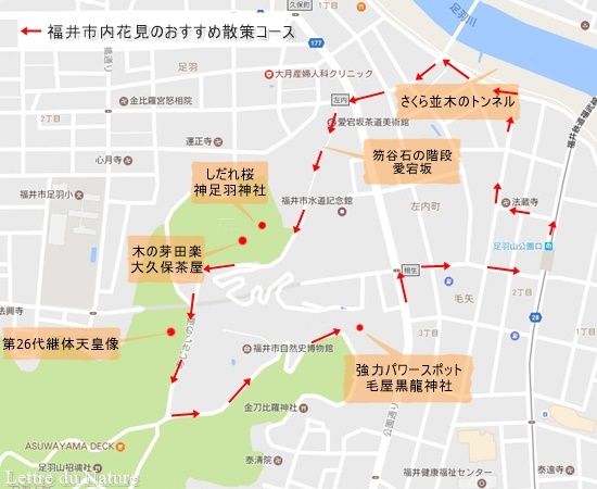 しだれ桜