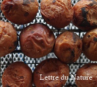焼き梅干しの作り方はレンジやトースターで簡単 フライパンで焼く時間は Lettre Du Nature