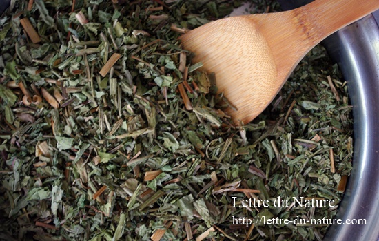 どくだみ茶の作り方と飲み方 採取する時期や乾燥のコツと飲む量は Lettre Du Nature