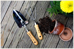 初心者必見！ベランダ菜園で必要な道具は？プランターもナチュラルに♪