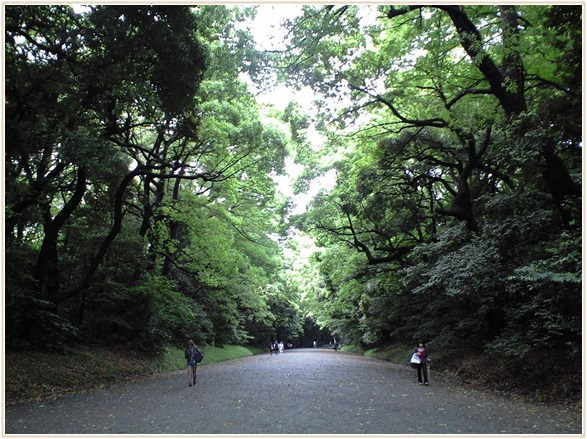 関東の美しい森の名所10選｜森林浴のおすすめスポット徹底紹介│Lettre 