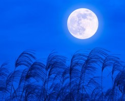 十五夜,中秋の名月
