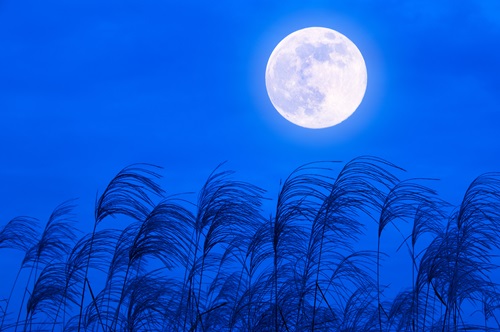 十五夜,中秋の名月