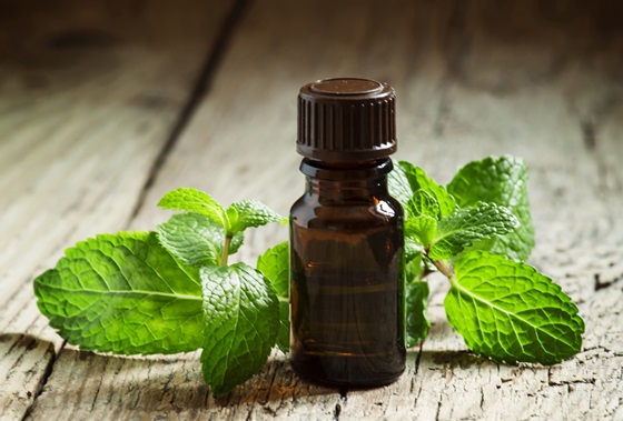 キャンプや夏フェスの虫除けや暑さ対策！ハッカ油スプレーの作り方