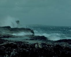ラニーニャ