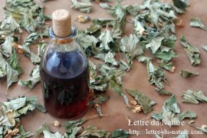 ドクダミ化粧水