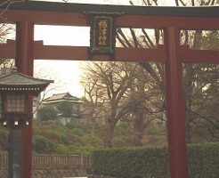 女子旅