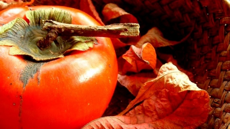 柿の栄養や効能と美容効果 食べ過ぎによる便秘や下痢 カロリーに注意 Lettre Du Nature