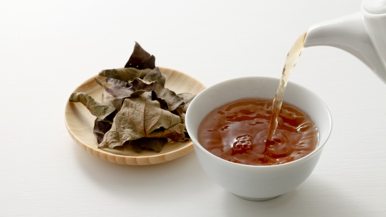ダイエット効果や血圧を下げる柿の葉茶のタンニンの副作用や注意点