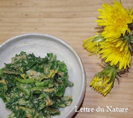 タンポポは栄養食用ハーブ 葉の美味しいオススメの食べ方やレシピ Lettre Du Nature